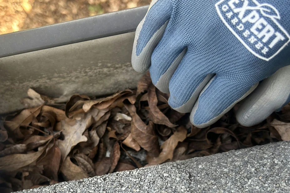 Gutter Cleaning Lilburn